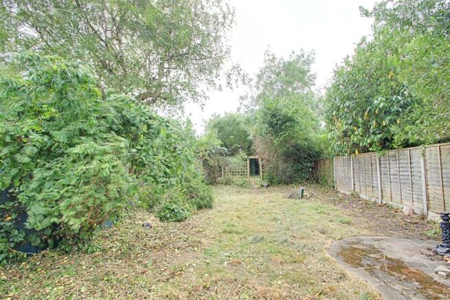 Garden 1.jpg