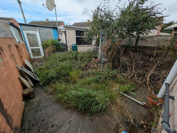 garden.jpg