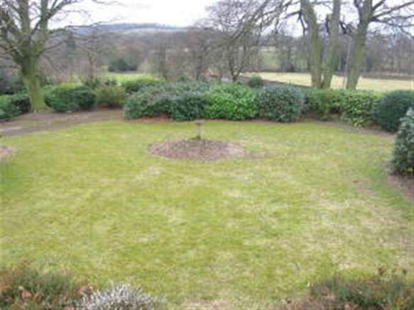 Photo 24