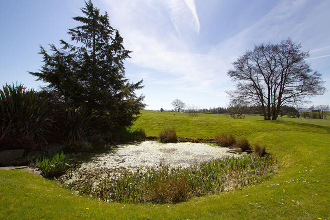Pond to front