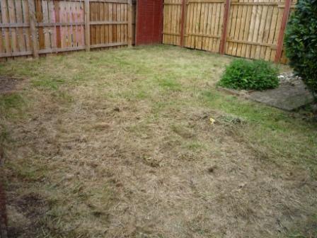 End of garden