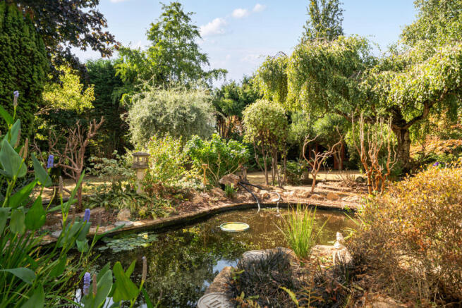 Pond