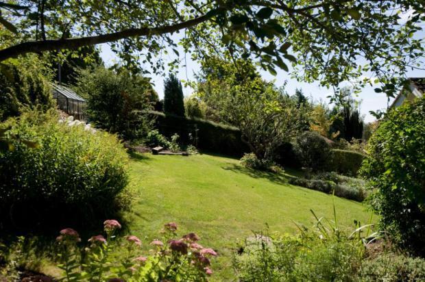 Garden 2