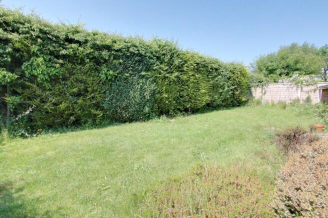 Garden at Back