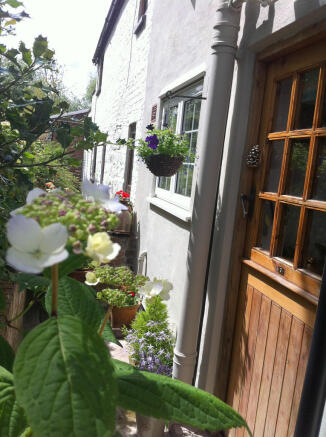 Photo 18