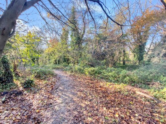 Local Walks