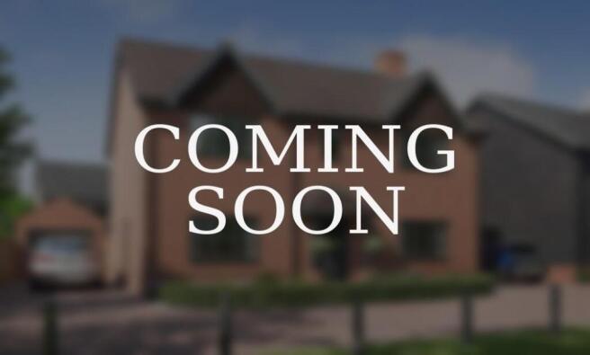 Dandara - Hawthorn Grove - The Carrington