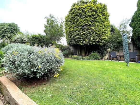 Garden Bushes