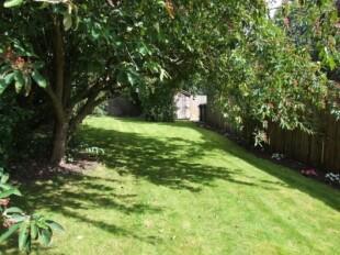 Enclosed Rear Garden