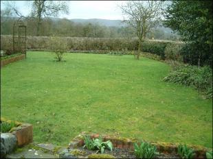 back garden