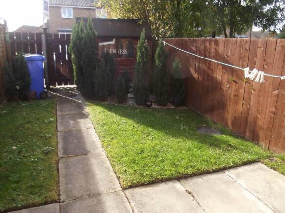 Photo 8