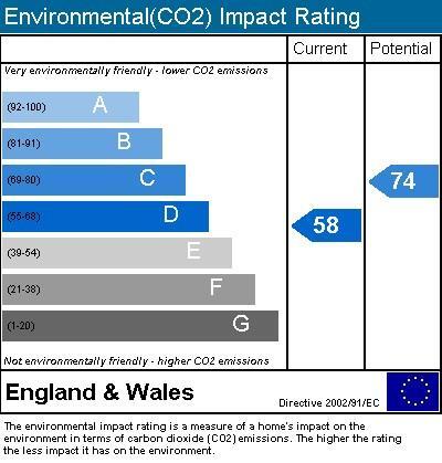 Environmental Impact