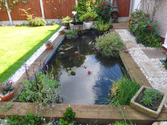 Garden Pond