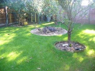Additional garden