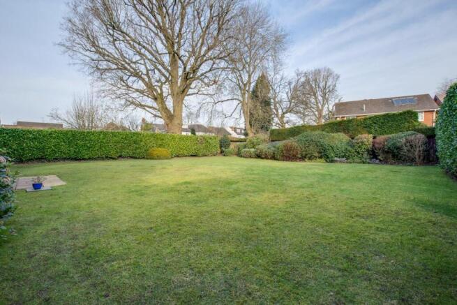 Communal Garden