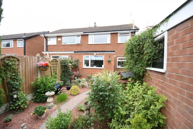 Back Garden