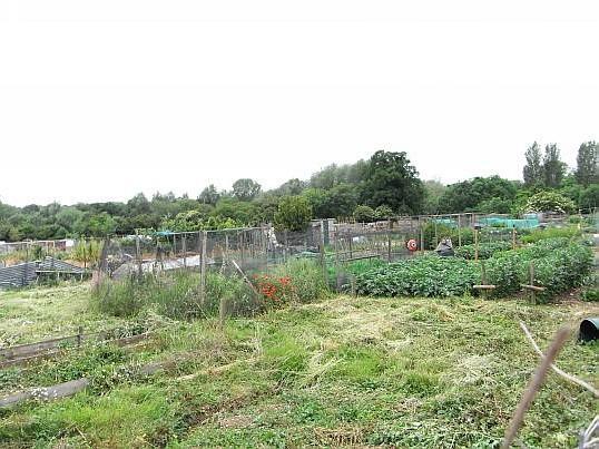 View Over Allotments