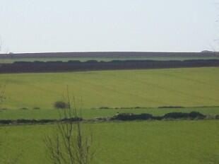 distant view
