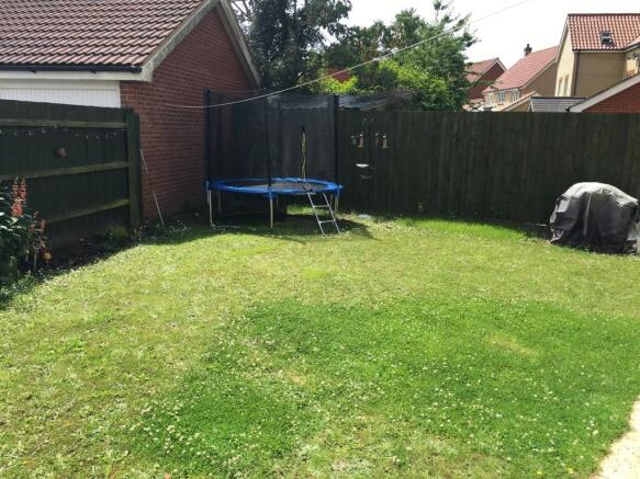 Photo 15