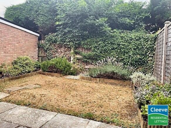 Back Garden