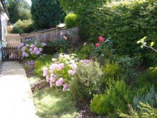 garden2