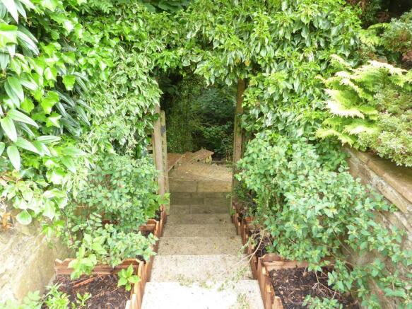 STEPS LEADING TO STREAM