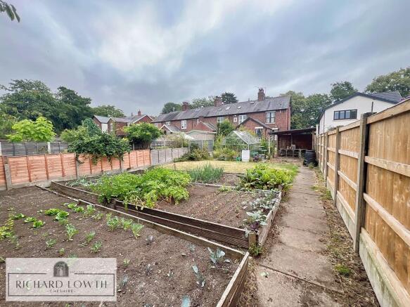 Lovely Garden