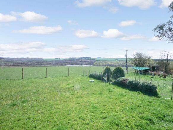 Garden & View