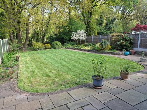 Back Garden 2.jpg