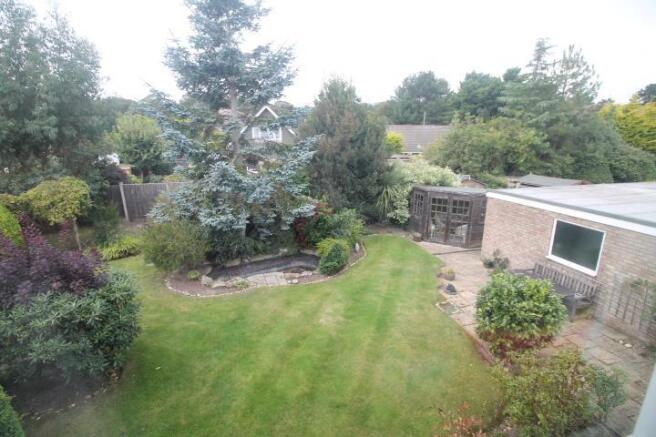 garden 2.JPG