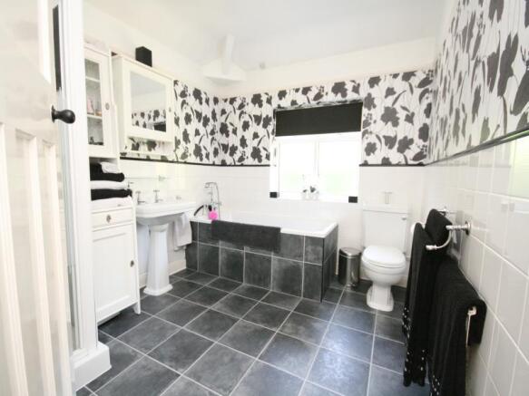 Photo 7