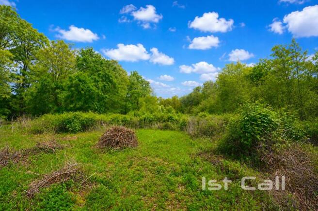 Lower Field