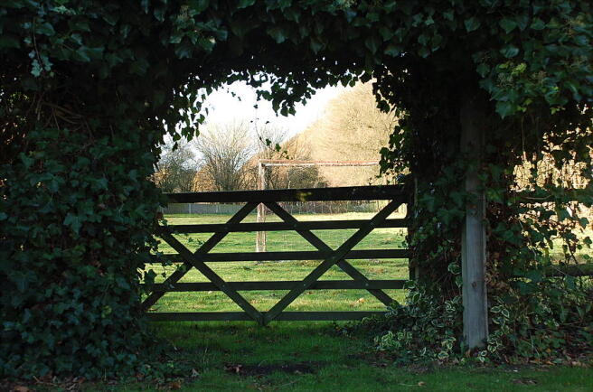 Gate To Further Land