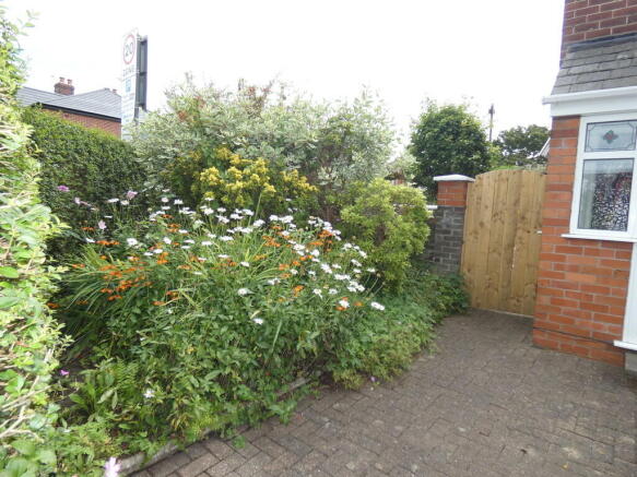 Photo 12