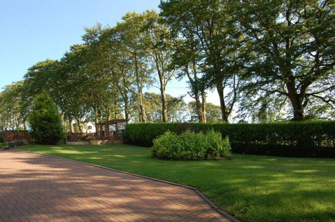 Garden and Driveway