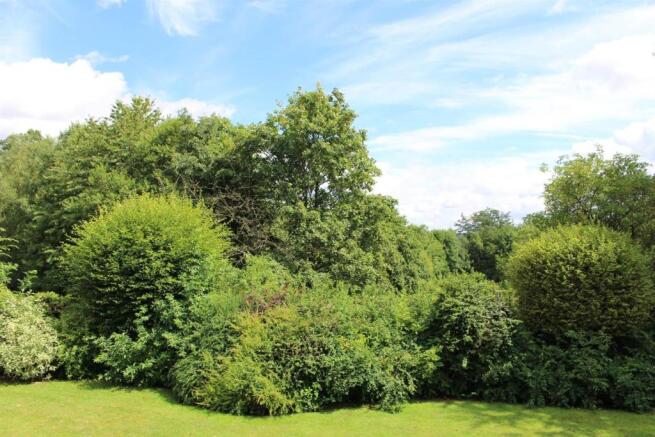 Garden2.JPG