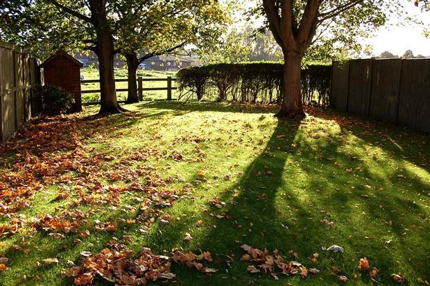 Rear Garden.