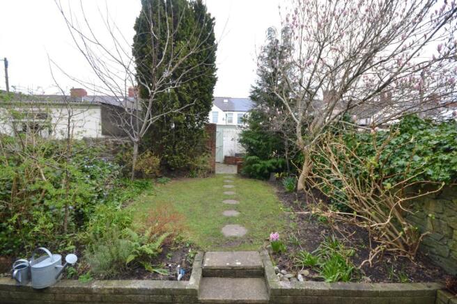 Image12
