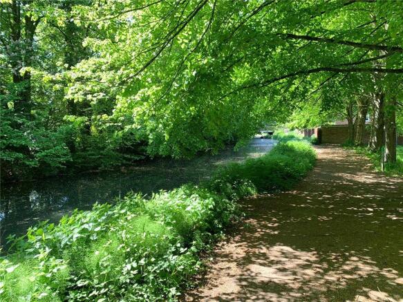 Basingstoke Canal 2