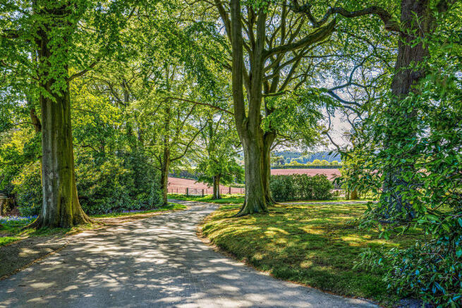 Driveway