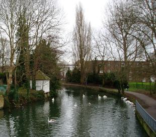 Riverside view