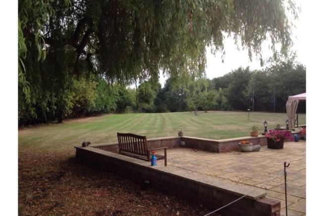 Photo 11