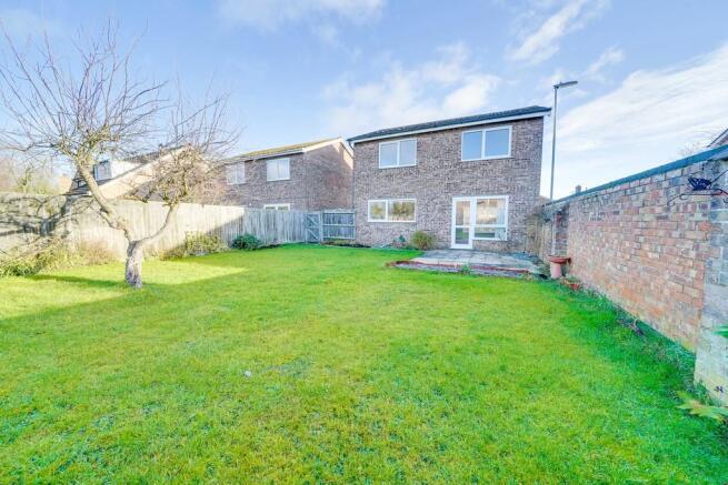 Back Garden