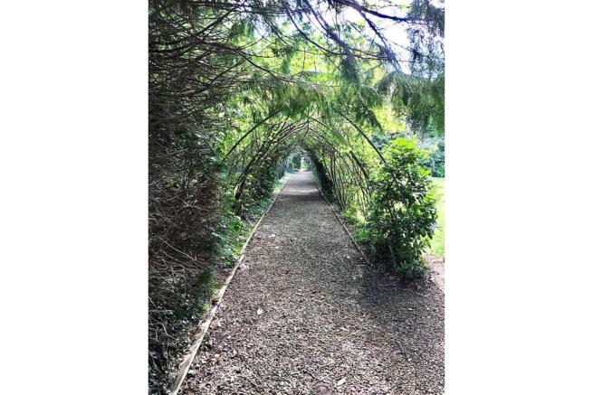 Communal Gardens