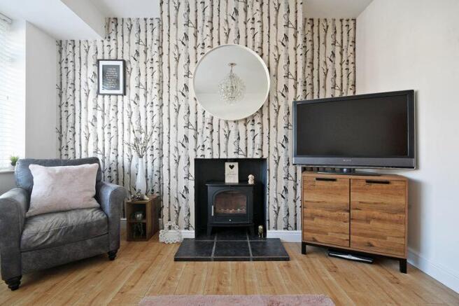 Lounge & Multi Fuel Stove