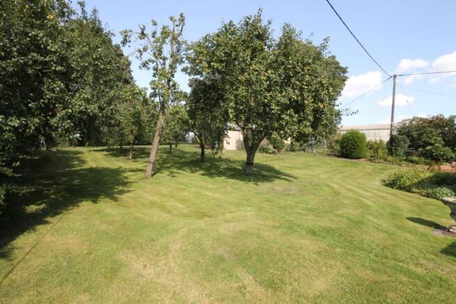 REAR GARDEN PHOTOGRAPHS