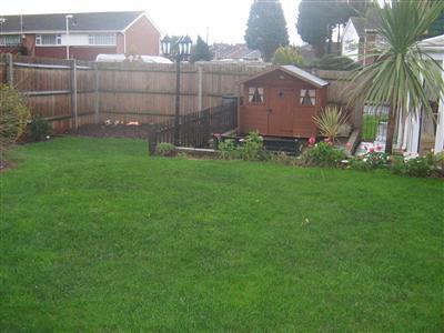 Garden 2