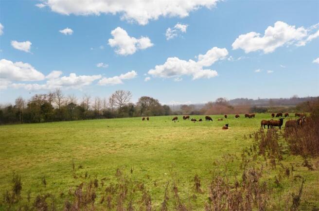 Adjoining Pasture