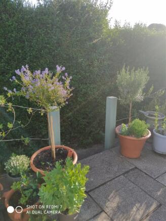 Photo 24