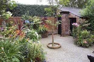 Photo 6